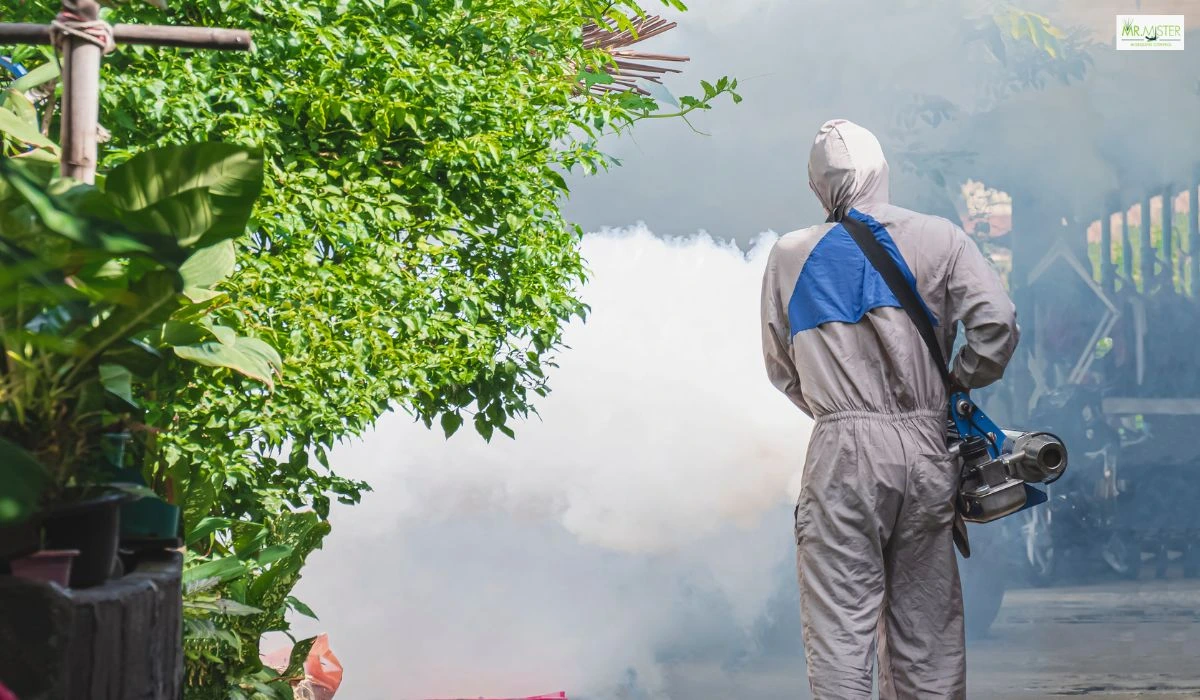 Affordable and Effective Mosquito Spray Service for a Bite-Free Home