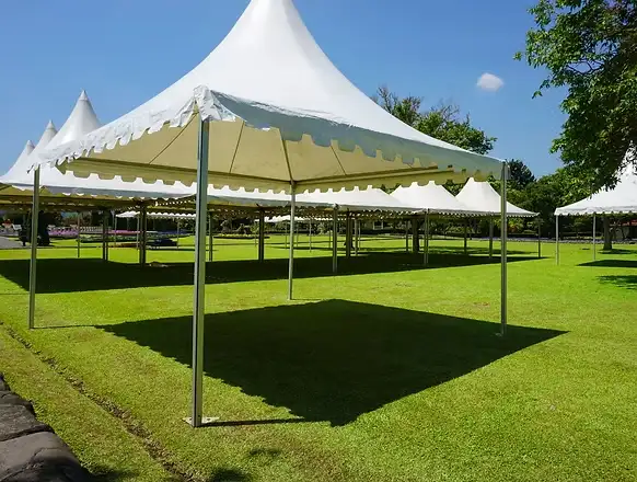 Special Event Protection mosquitoes