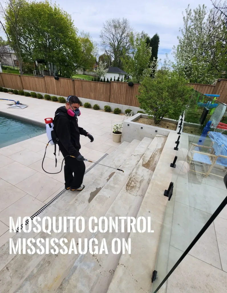 mosquito pest control mississauga