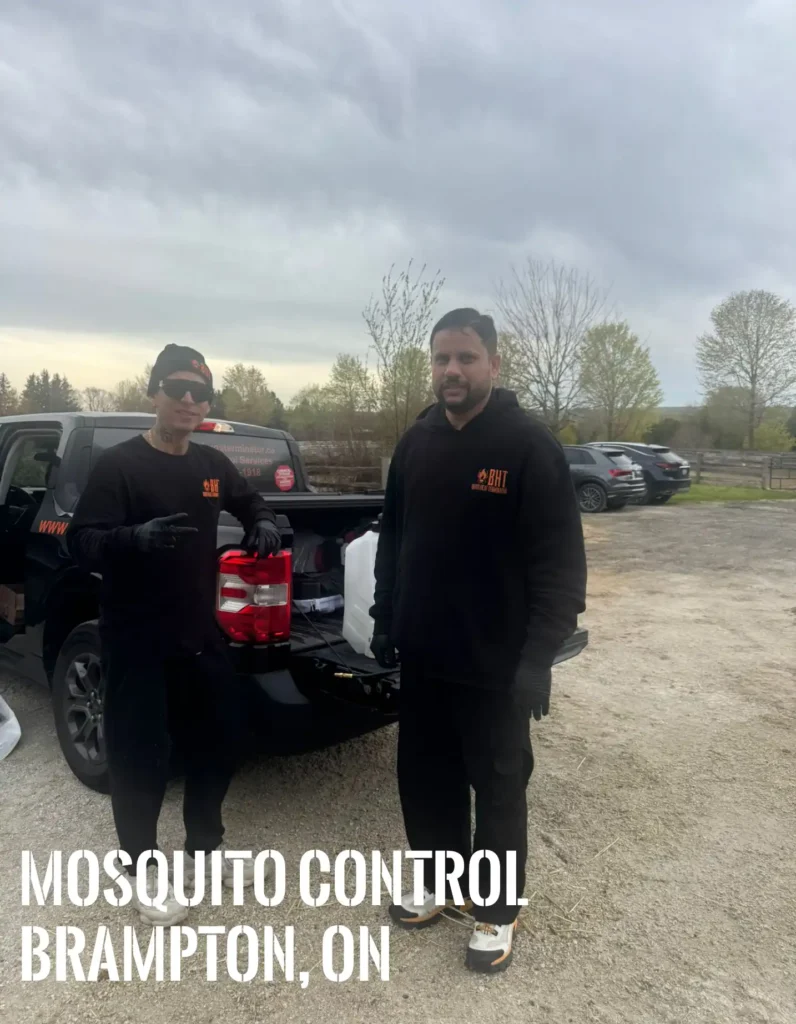 pest control mosquito in brampton