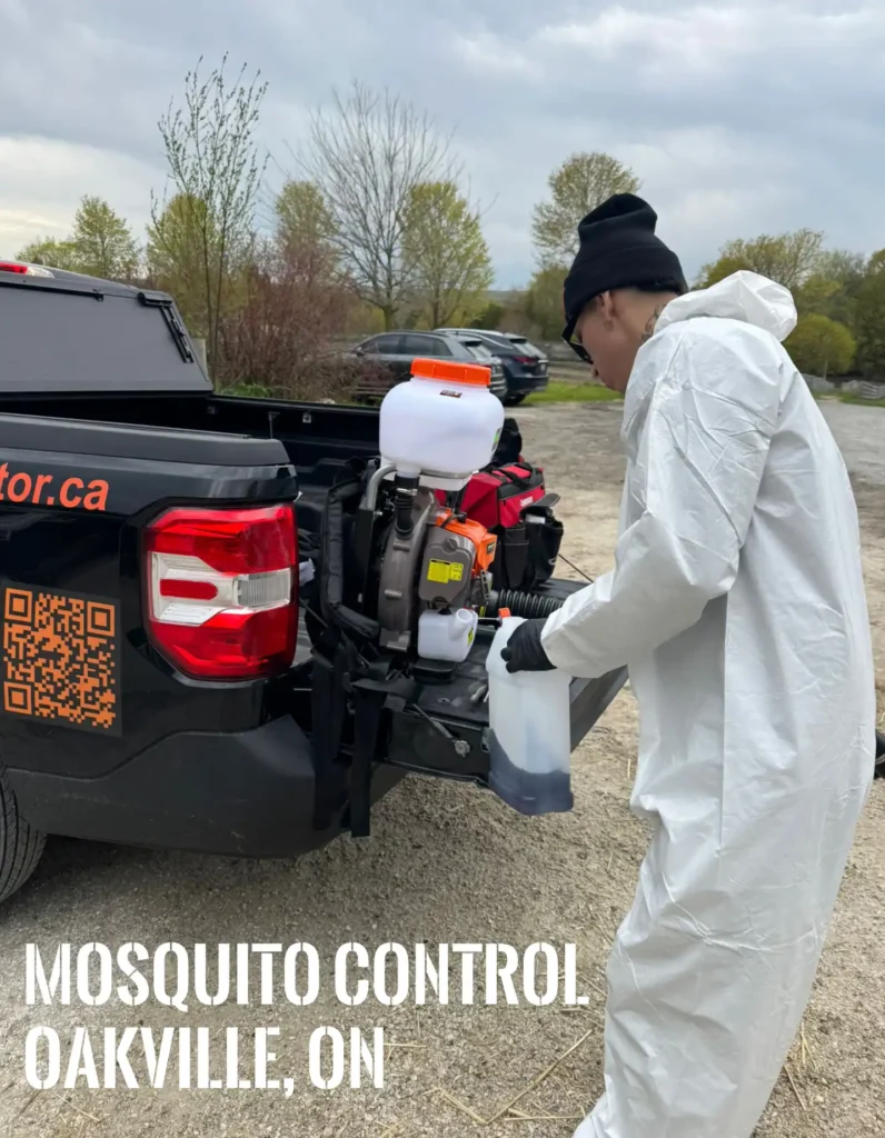 pest control mosquito in oakville