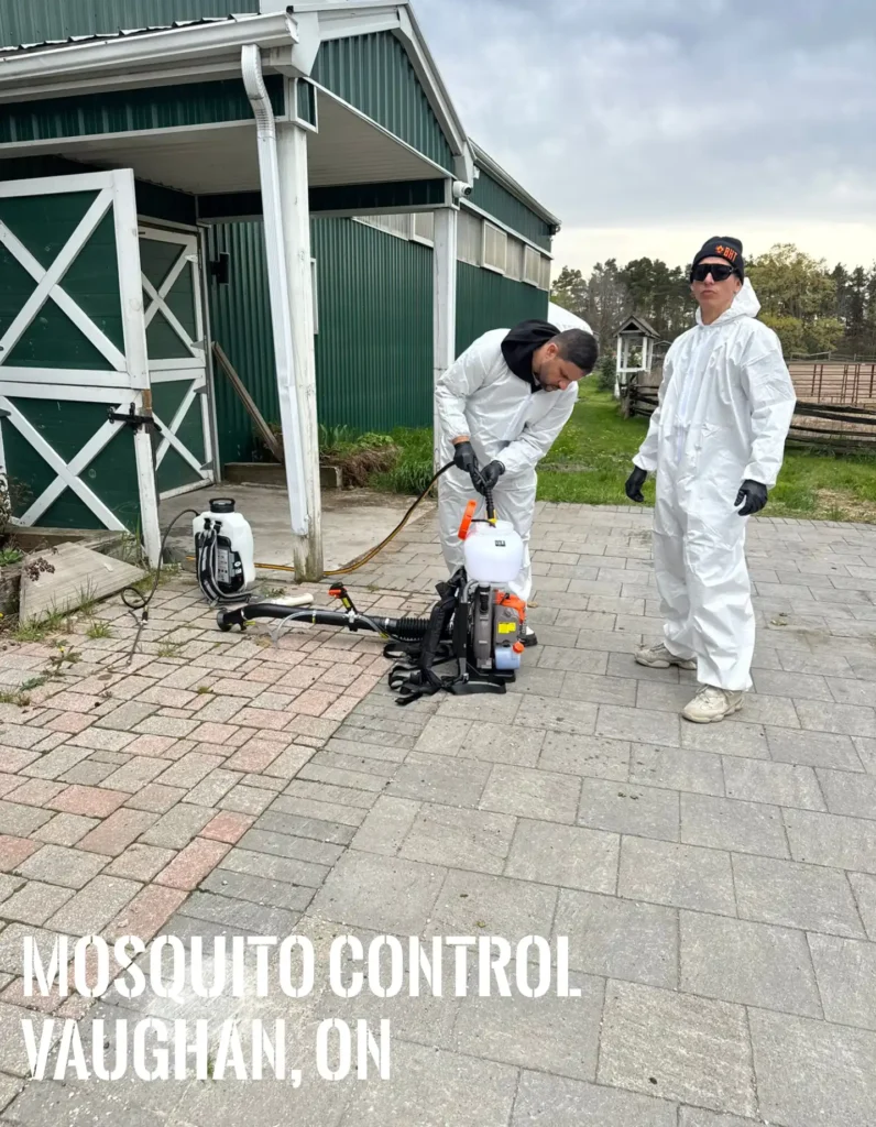 pest control mosquito in vaughan